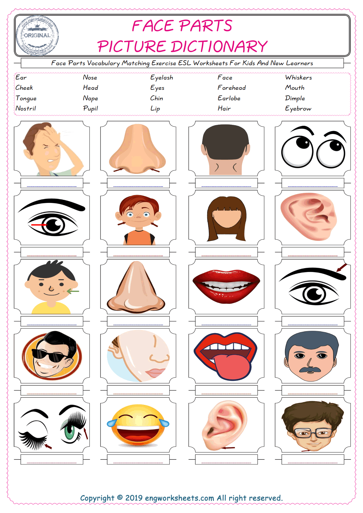  Face Parts for Kids ESL Word Matching English Exercise Worksheet. 
